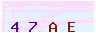 animated captcha