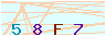 animated captcha