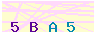 animated captcha