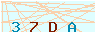 animated captcha