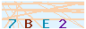 animated captcha