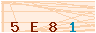animated captcha