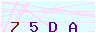 animated captcha