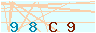 animated captcha
