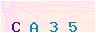 animated captcha