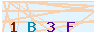animated captcha